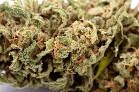 Cannabis background Stock Photos