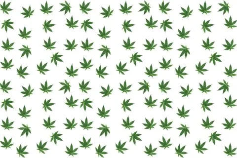 Cannabis background 写真素材