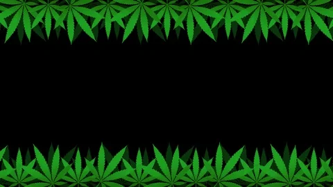 Cannabis Background Seamless Loop Alpha Channel 8K Stock Footage 105854791