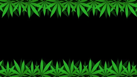 Cannabis Background Seamless Loop On Black 8K Stock Footage 105857067