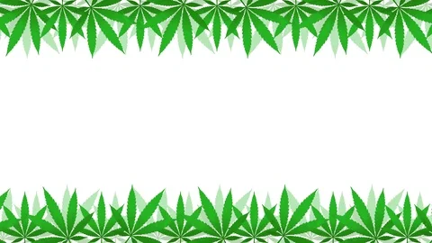 Cannabis Background Seamless Loop On White 8K Stock Footage 105860091