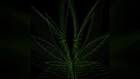Cannabis background spinning wired HD background neon green Stock Footage 114358326