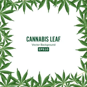 Cannabis Background. Vector Marijuana Frame. Green Leaf Stock-Illustration