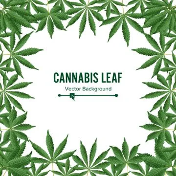 Cannabis Background. Vector Marijuana Frame. Green Leaf Illustrazione stock