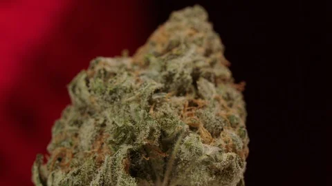 Cannabis Bud rotating macro tight 스톡 동영상 94356964