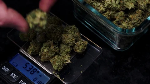 Cannabis bud on scale 스톡 동영상 94347366
