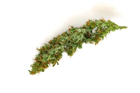 Cannabis bud top view isolated on white background Фото