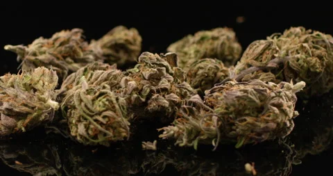 Cannabis buds close up rotating on isolated black background. Marijuana, weed Video stock 142428056