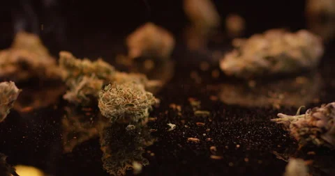 Cannabis Buds falling with fire flames on black background. Dried weed Plant Stock Footage 142428617