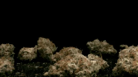 Cannabis buds falling Stock Footage 283230582