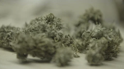 Cannabis buds Vídeo Stock 37270848