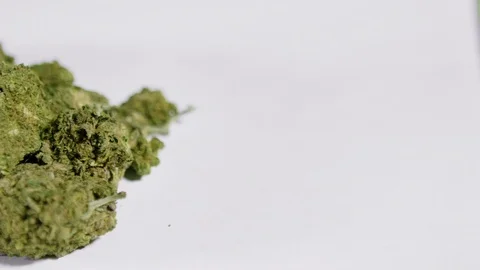 CANNABIS BUDS Stock Footage 97088256