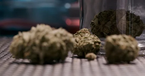 Cannabis-Buds-Macro-Focus-Pull-Art2 스톡 동영상 94824087