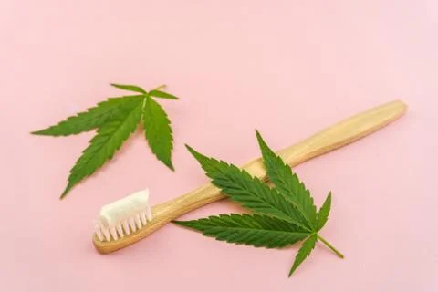 Cannabis CBD toothpaste with Cannabis leafs and wooden toothbrush Stock Photos