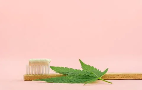 Cannabis CBD toothpaste with Cannabis leafs and wooden toothbrush with copy s Stock Photos