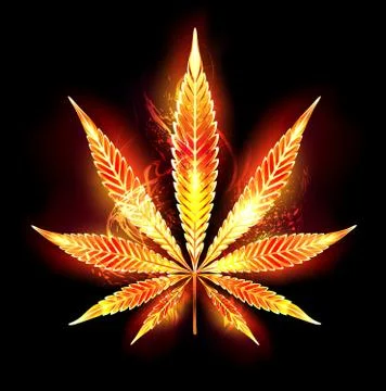 Cannabis fire leaf Stock Illustration