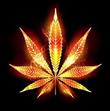 Cannabis fire leaf Stock Illustration