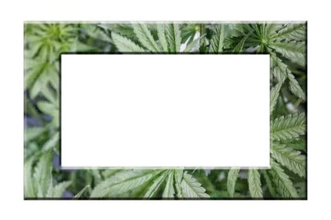 Cannabis Frame Stock Illustration