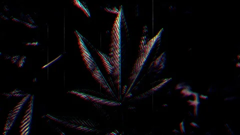 Cannabis Glitch Stock Footage 102159667