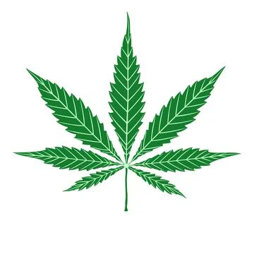 Cannabis green leaf isolated on white. Vector cartoon hand drawing Stock Illustration