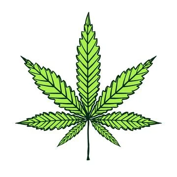 Cannabis green leaf isolated on white. Vector doodle freehand cartoon Stock Illustration