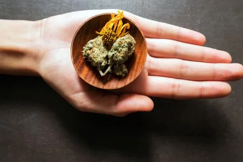 Cannabis in hand Stock Photos