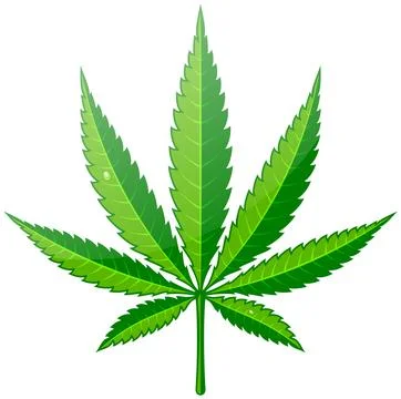Cannabis Hemp Leaf Flat Icon Stock Illustration