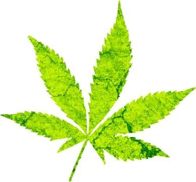 Cannabis Stock-Illustration