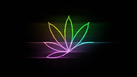 Cannabis Leaf Animation | Stock Video | Pond5