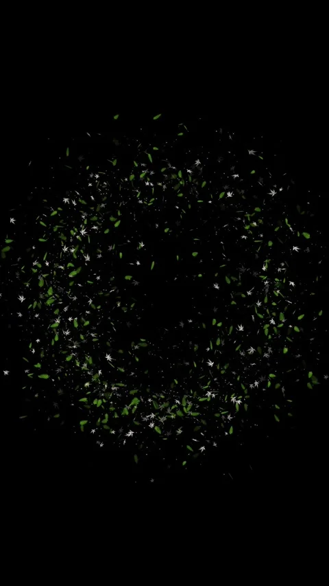 Cannabis Leaf Frame Background green marijuana leaves on a white background Video stock 341912970