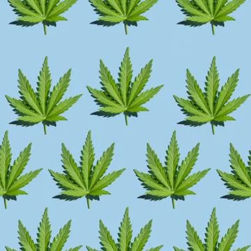 Cannabis leaf geometric seamless pattern. Stock Photos