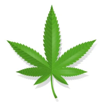 Cannabis leaf icon Illustration