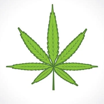 Cannabis leaf Stock Illustration