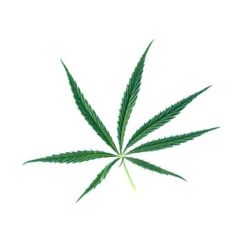Cannabis leaf Isolate Stock Photos