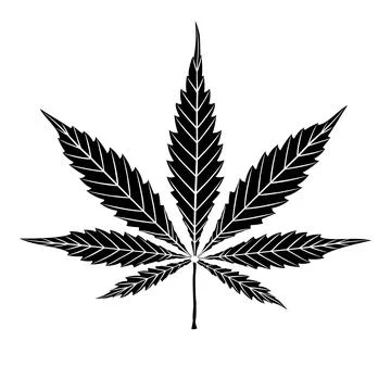 Cannabis leaf isolated black on white. Shape or silhouette herbal nature symbol Stock Illustration