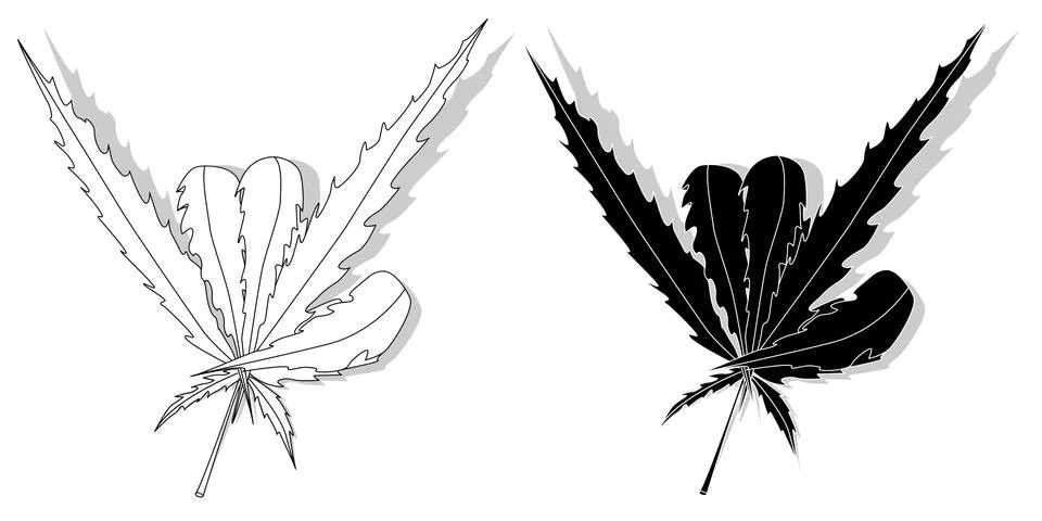 Cannabis leaf isolated on white background Stock Illustration