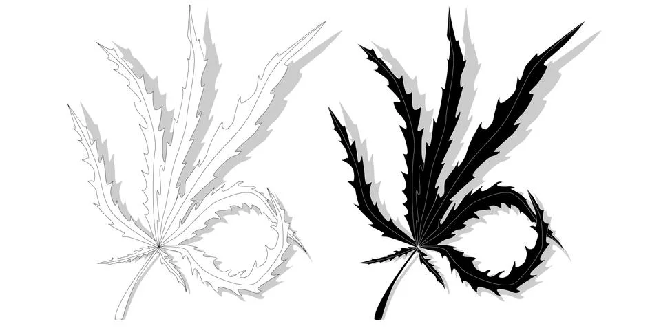 Cannabis leaf isolated on white background Stock Illustration