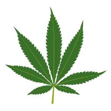 Cannabis leaf isolated on white background Stock Illustration