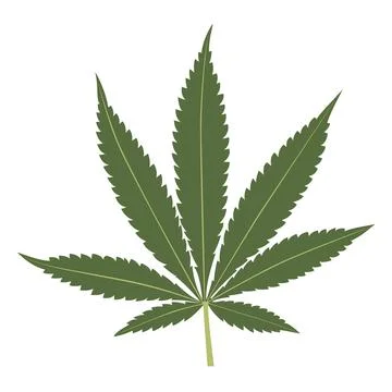 Cannabis leaf isolated on white background. Stock Illustration