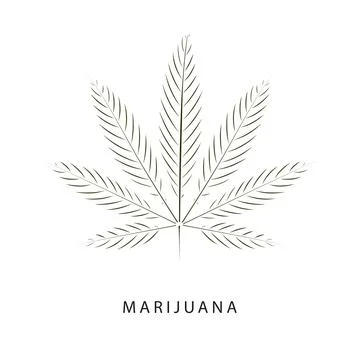 Cannabis leaf with line art. Vector illustration Stock Illustration
