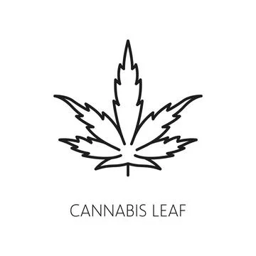 Cannabis leaf line icon CBD marijuana weed extract Stock Illustration