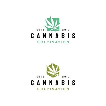 Cannabis leaf logo design vector Stock Illustration