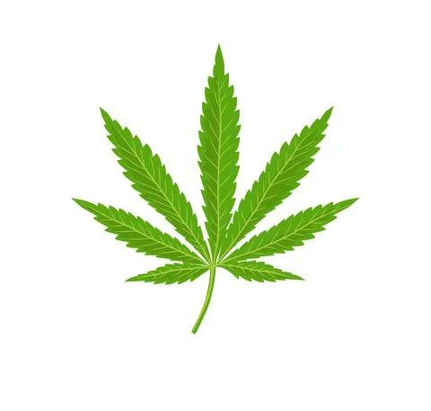 Cannabis leaf logo vector Stock Illustration