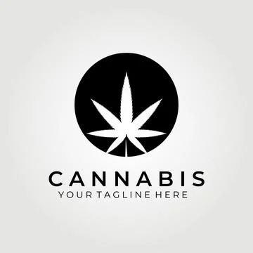 Cannabis leaf logo vector illustration design , vintage logo concept Stock Illustration