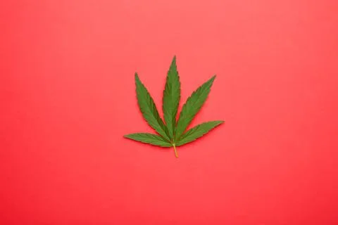 Cannabis leaf, marijuana leaf on red background Stock Photos