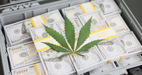 Cannabis leaf resting on stacked dollar bills in open briefcase Stock Footage 312157952