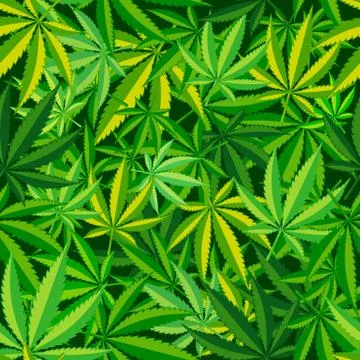Cannabis Leaf Seamless Pattern Stock Illustration