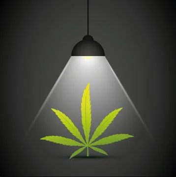 Cannabis leaf in the spotlight Stock-Illustration