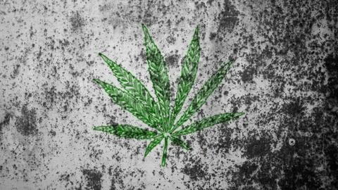 Cannabis leaf texture as background Stock Photos