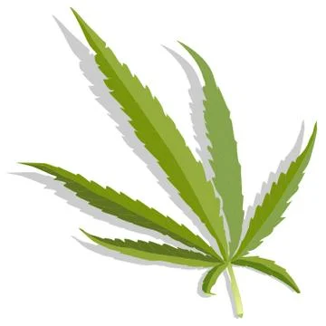 Cannabis leaf vector isolated Stock Illustration